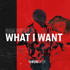 Sam Collins - What I Want (Radio Edit)