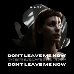 Rayz - Don't Leave Me Now [Radio Mix]