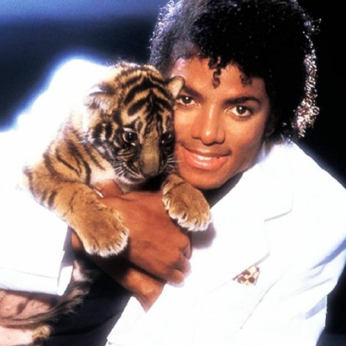 June Samples 22 ft. Seek