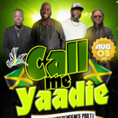 DJ ROY X DJ SYNPA  CALL ME YARDIE JA INDEPENDENCE PARTY 8.3.24 LIVE AUDIO