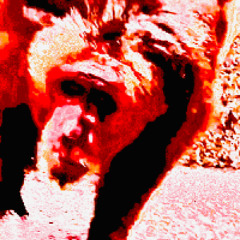INTRNTSHT