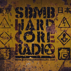 【SBMBHCR161】 " AUTOPSY PROTOCOL " March 2026