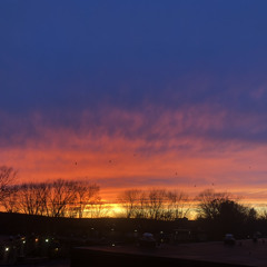 The Geese Have Flown