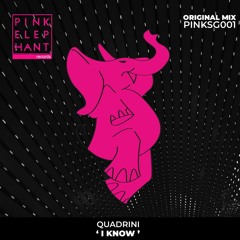 SG 001 / Quadrini - I Know (Extended Mix)