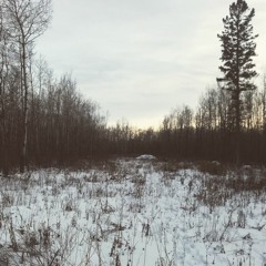 THE WORD OF SIN IS RESTRICTION