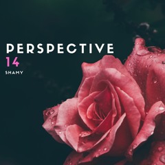 Perspective 14