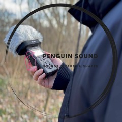 Winds (Sounds Scapes & Shapes - S1E1 )