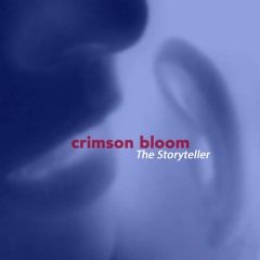 The Storyteller (Single Edit)