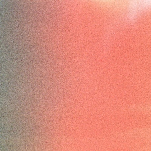 Daydream