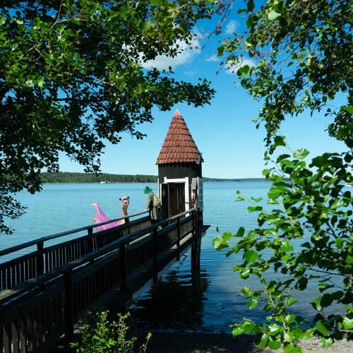 Swimming with Edward