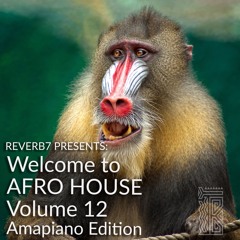 Welcome to Afro House Vol 12 (Amapiano Edition) Feb 2021