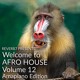 on Welcome to Afro House Vol 12 (Amapiano Edition) Feb 2021