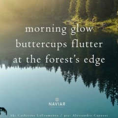 Morning at the Forest’s Edge (NaviarHaiku491)