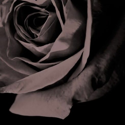 Stream 薔薇戦争 Rearrange Ver By 巴椛 Tomoka Listen Online For Free On Soundcloud