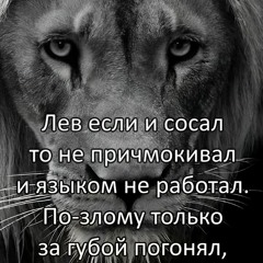 Кальмер но на улице афган