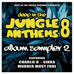 Charlie B - Rave Up (Deep in the Jungle Records)