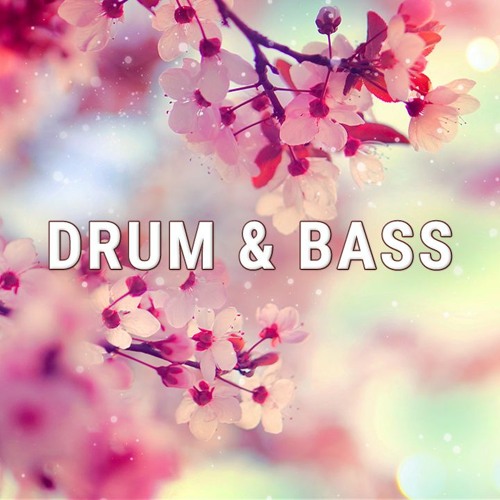 Stream [No Copyright Music] Drum & Bass Background Music by Rights Free  Sound / Flower(DOWNLOAD MP3) by Rights Free Sound | Listen online for free  on SoundCloud