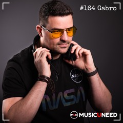 #164 Gabro