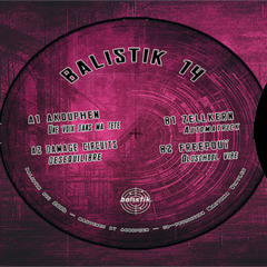 BALISTIK 14   (PROMOMIX )