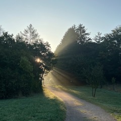 Strictly Progressive House | Set 1 | May 2025