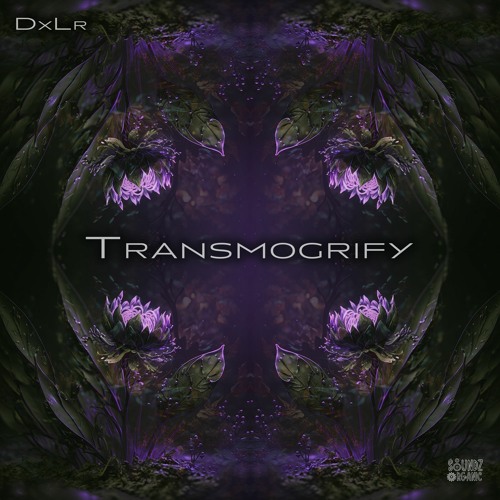 DxLr - In My Shell