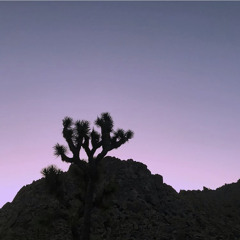 vintage mai tai - danielacarabez & edwincarabez