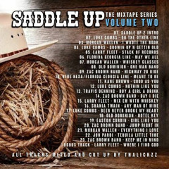 Saddle Up - Volume 2 - THE MIXTAPE SERIES (ThaLICKZz).mp3