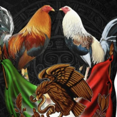 Banda Corridos y Cumbias Mixx
