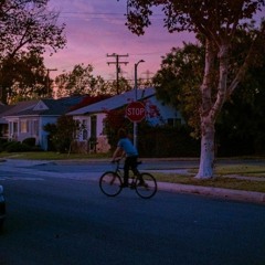 Crokomoko - Polaroid