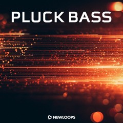 New Loops - Pluck Bass (Kontakt)