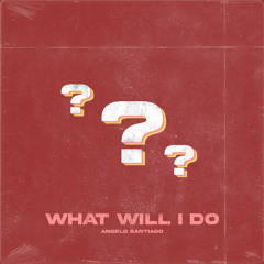 What Will I Do