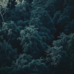 City of Echoes