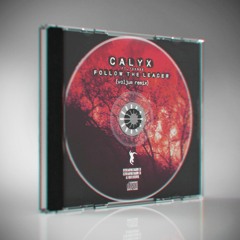 Calyx (feat. TeeBee) - Follow The Leader (voljum rmx)