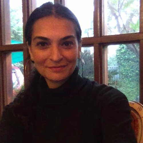 Najm Hosain Syed, Kitab: Rut De Km, (Gawan Chup Chupite) Risham Syed May 2023