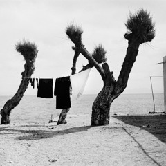 In the end, everything is good