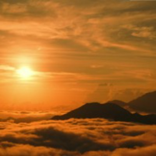 Dawless Puzzle Live // Ďakujem, Thanks