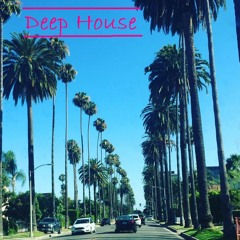DJ Miamivince - Summer 2021 Deep House session