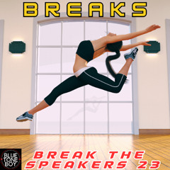 Break The Speakers 23 ~ #Breaks #BassBreaks Mix