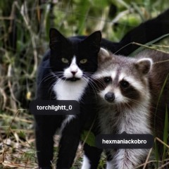 hex maniac kobro - come around (prod. torchlightt)