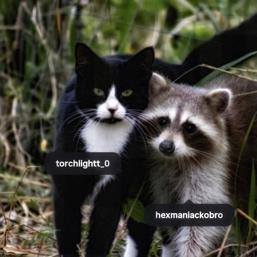 hex maniac kobro - come around (prod. torchlightt)