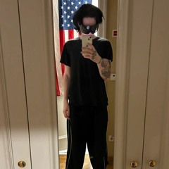 9mice-Щит2(+kachestvo