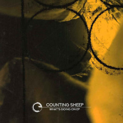 Counting Sheep - What's Going On EP - Children Of Tomorrow