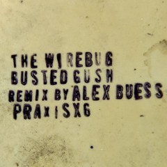 The Wirebug: Busted Gush - Remix by Alex Buess [PraxisX6, 2024]