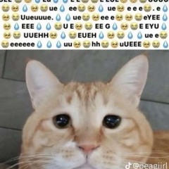 KENS SCENECORE PLAYLIST
