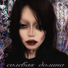 Солевая Долина