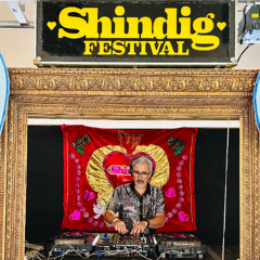 Funky Breaks @ Shindig Festival 25