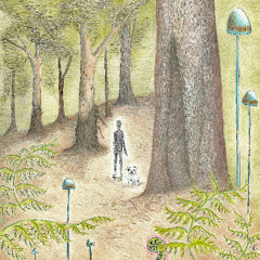 Tom Day - Forest for the Trees