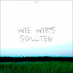 WIE WIR'S SOLLTEN (PROD. BY A3)