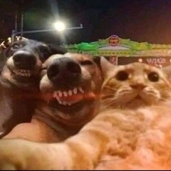 party animalz