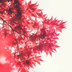 Deep DnB Mini-Mix, September 23